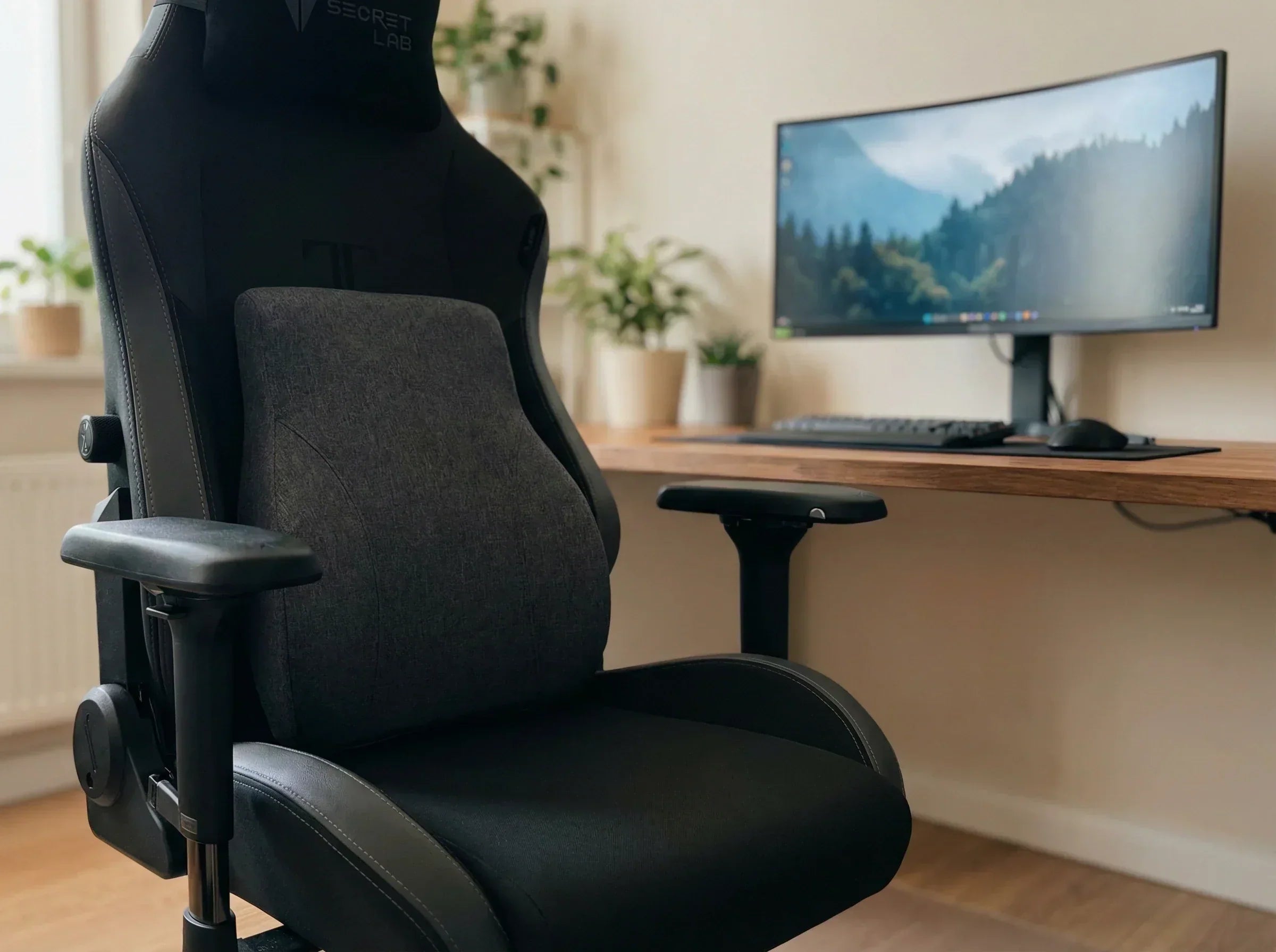Coussin Ergonomique Dos : Quel Modèle Choisir pour Soulager le Dos