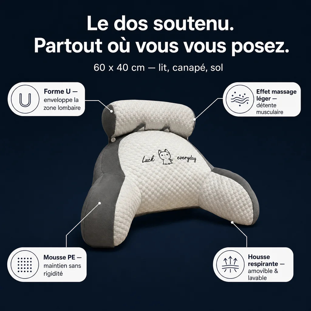 Coussin de soutien dorsal