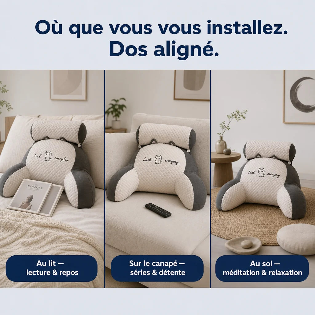 Coussin de soutien dorsal