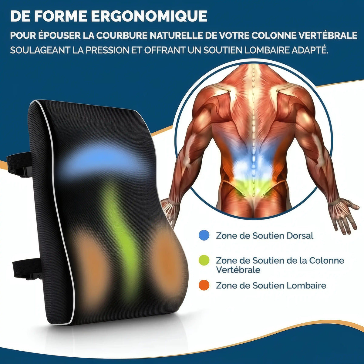 Coussin lombaire siège