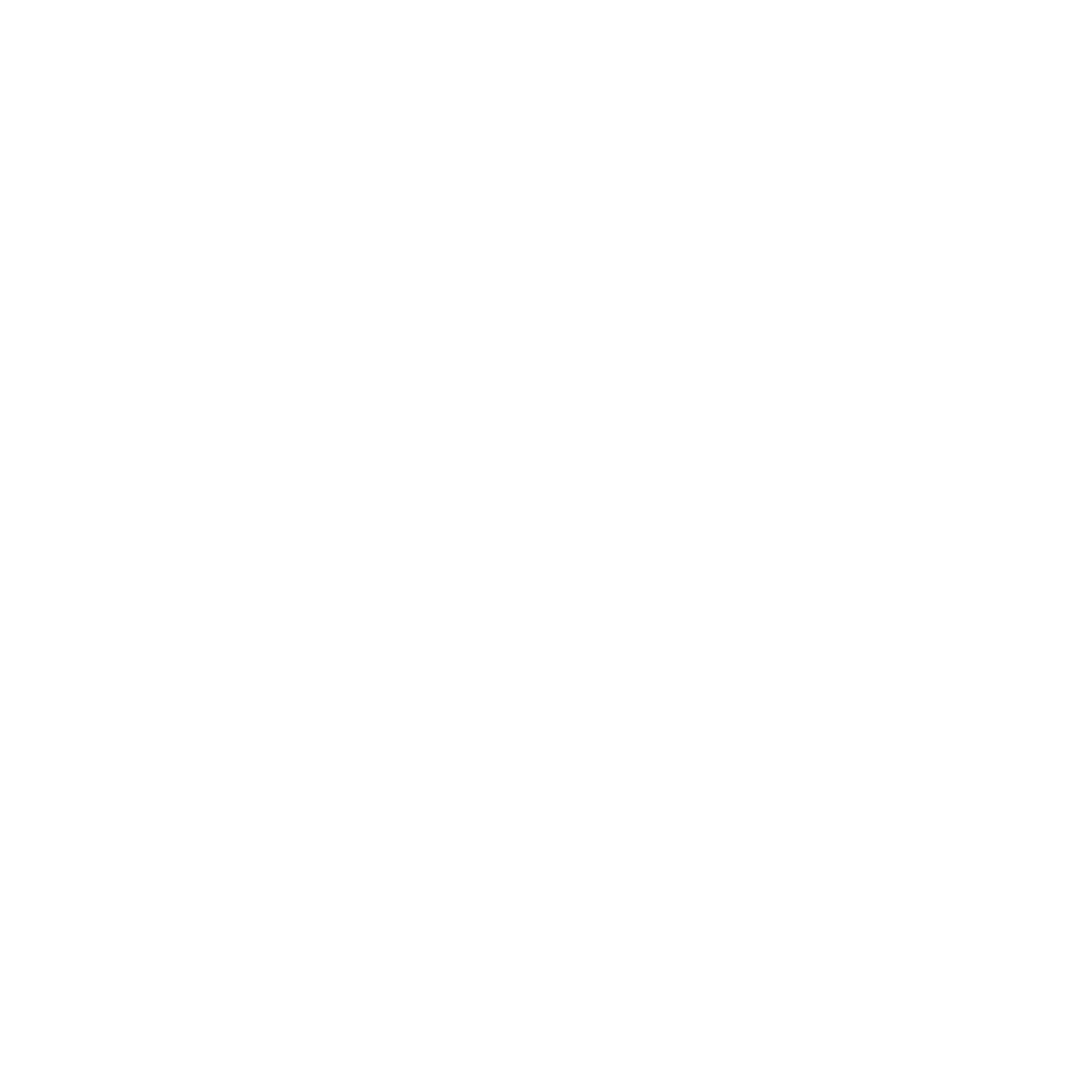 Le coussin ergonomique