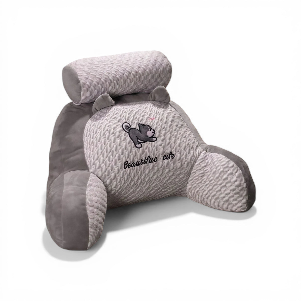 Coussin de soutien dorsal